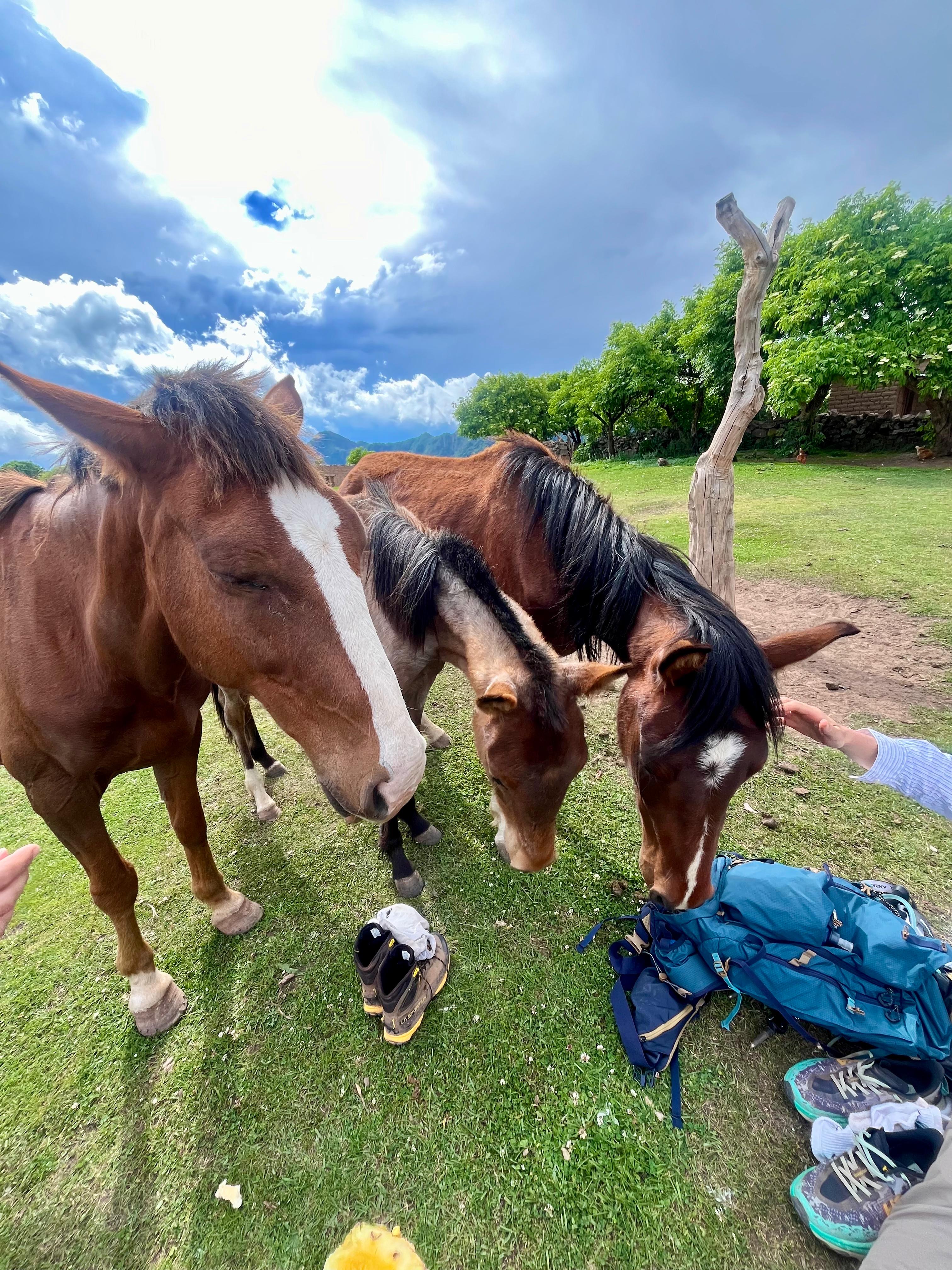 Foto del viaje
