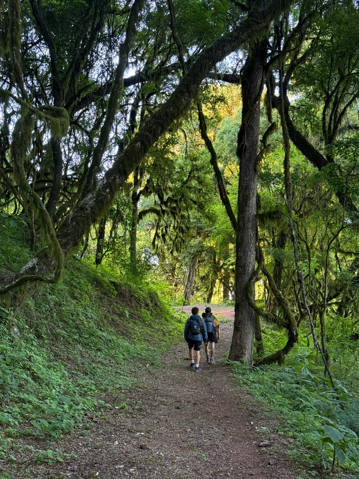 Foto del viaje